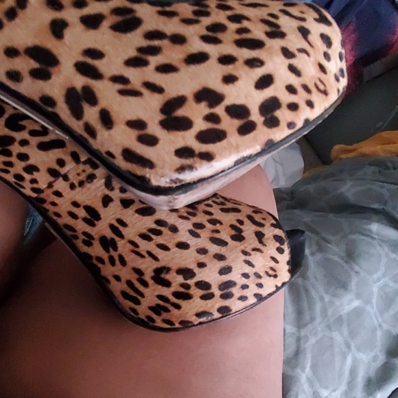 Leopard, Hidden Platform Beauties - Picture 6 of 6